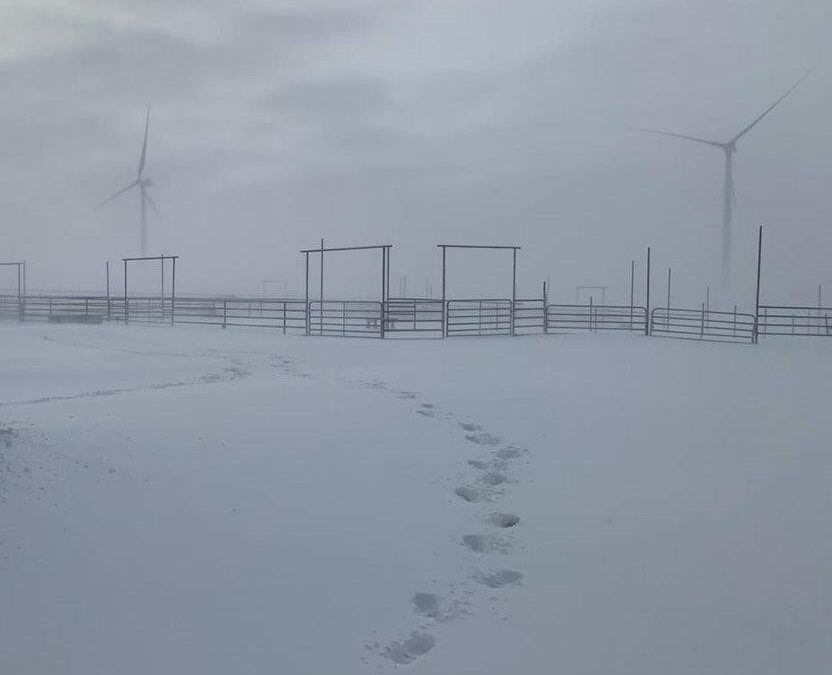 How the State of Colorado Increased Their Wind Capacity