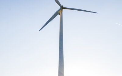 Surprisingly, These “Red States” Lead the Way in Renewable Wind Energy