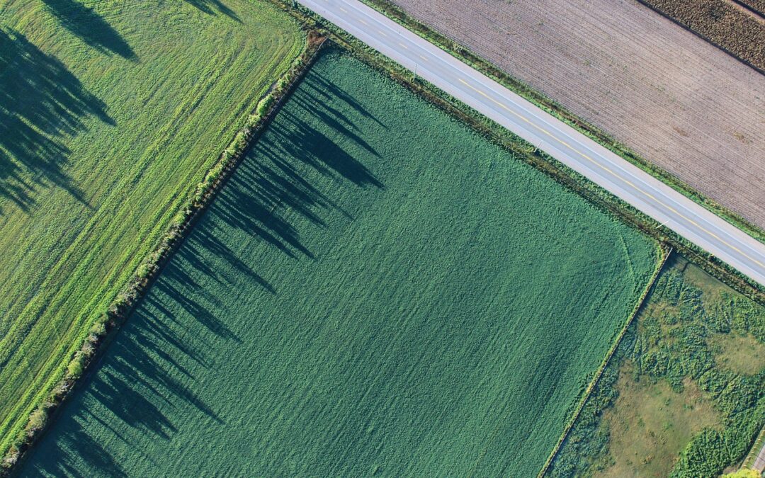 Land And Renewable Energy Production, Produce Renewable Profits