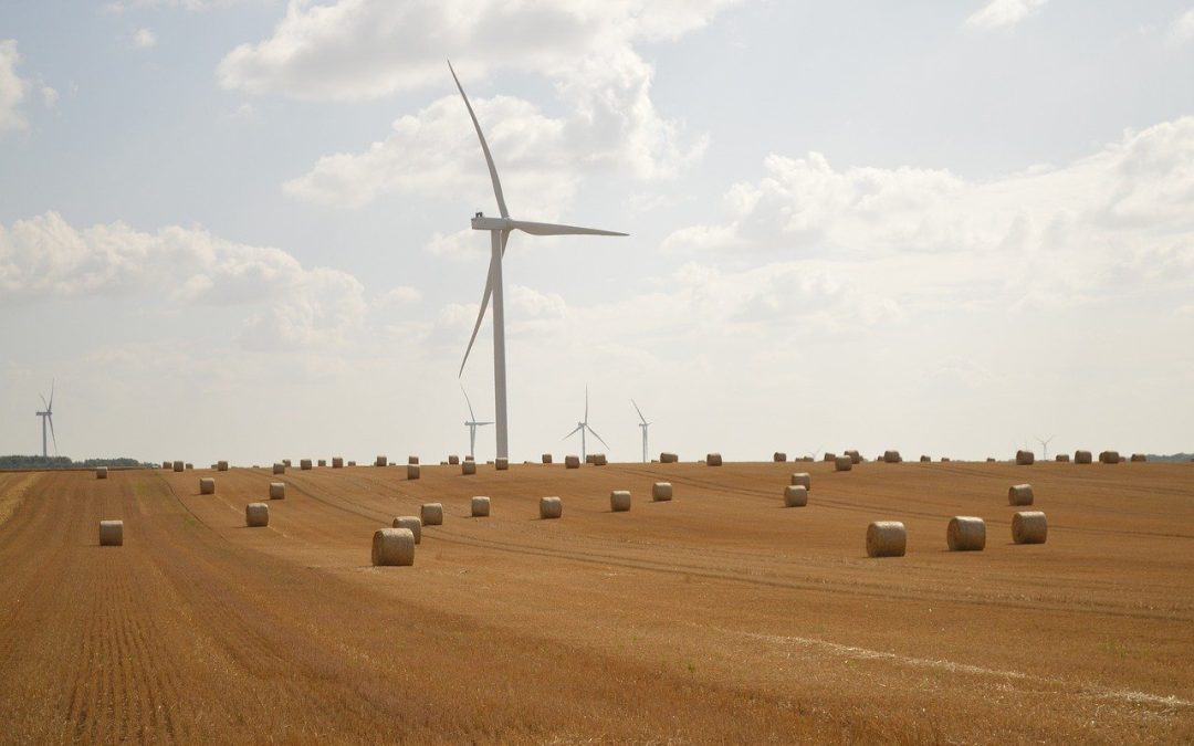 From Crops to Kilowatts:                                                                How Clean Energy Is Saving Family Farms