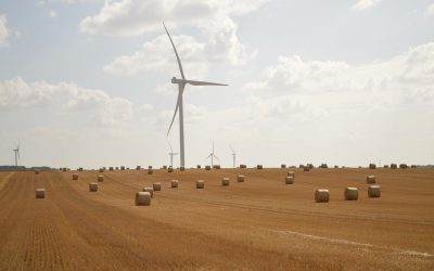 From Crops to Kilowatts: How Clean Energy Is Saving Family Farms