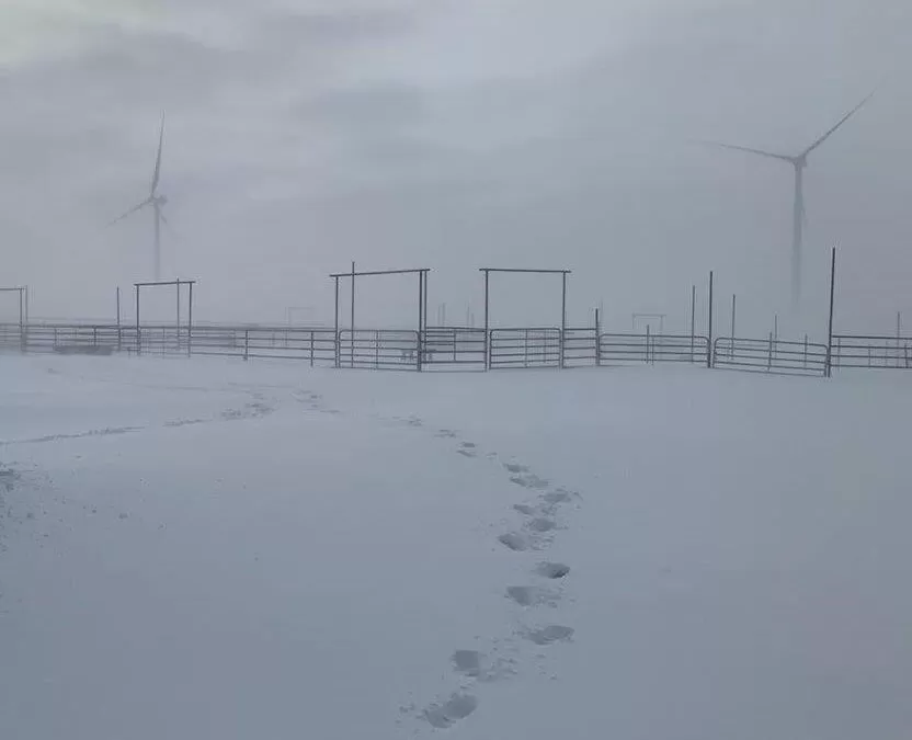 How the State of Colorado Increased Their Wind Capacity