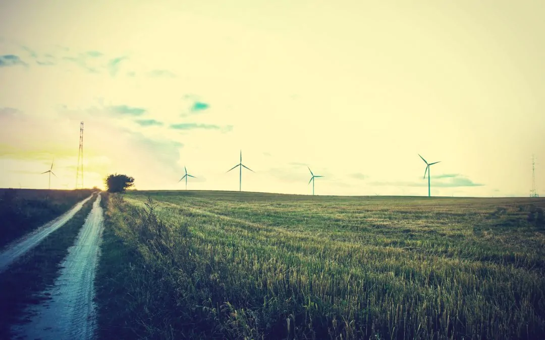 Options for Landowners with Renewable Energy Leases